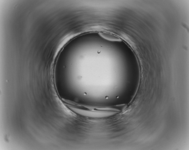 X0000095911392200801181346