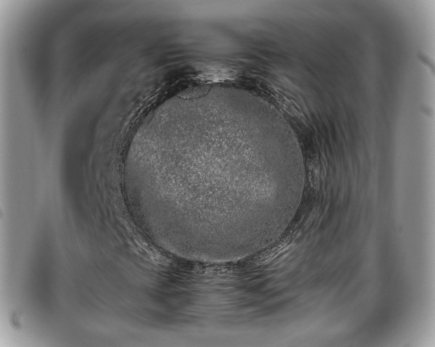 X0000095911393200801181345