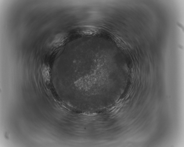 X0000095911394200801181345