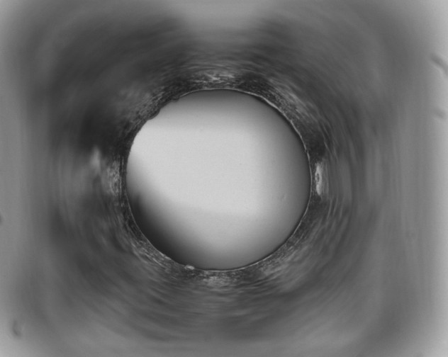 X0000095911395200801181345