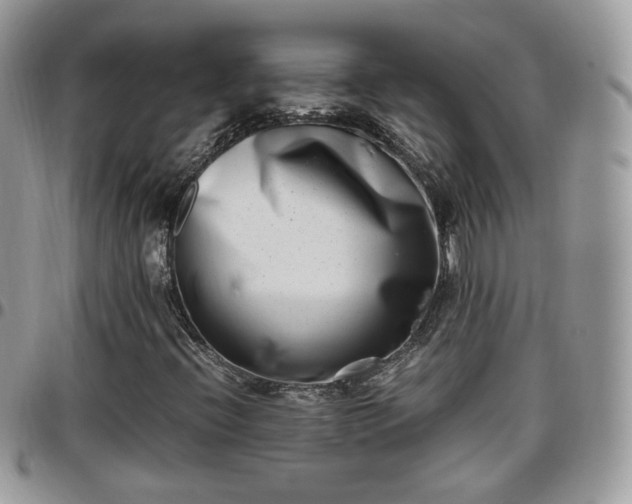 X0000095911396200801181345