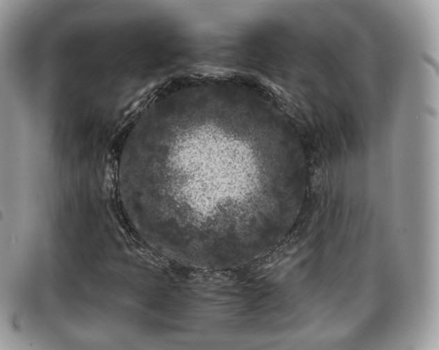 X0000095911397200801181345