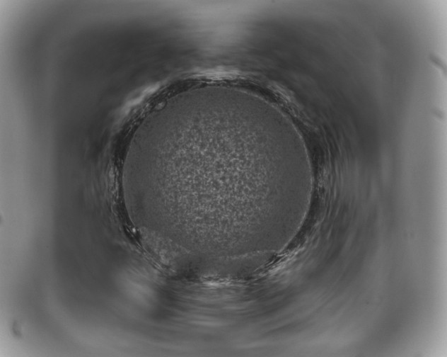 X0000095911398200801181345