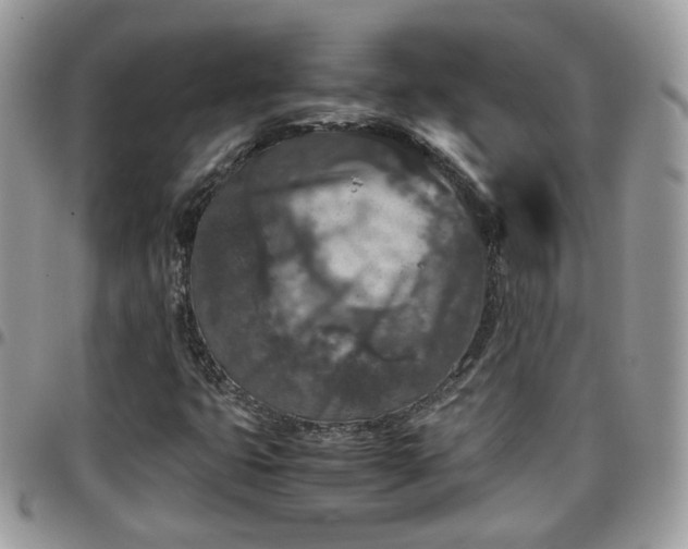 X0000095911399200801181346