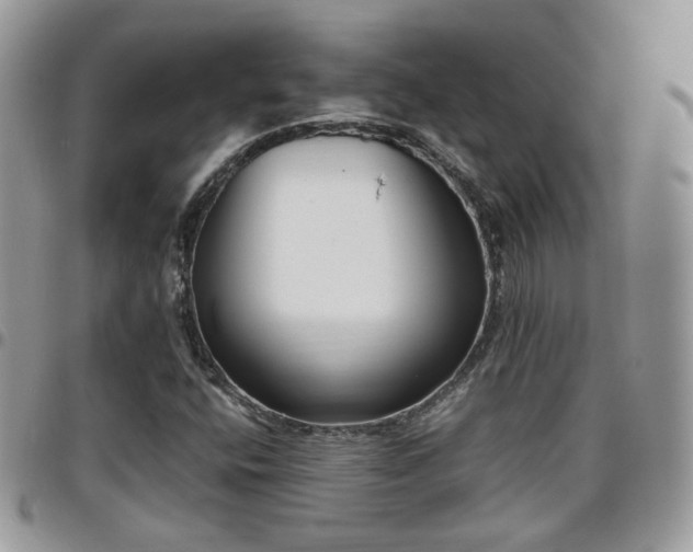 X0000095911400200801181346