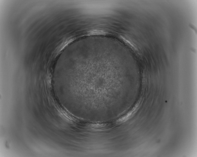 X0000095911401200801181346