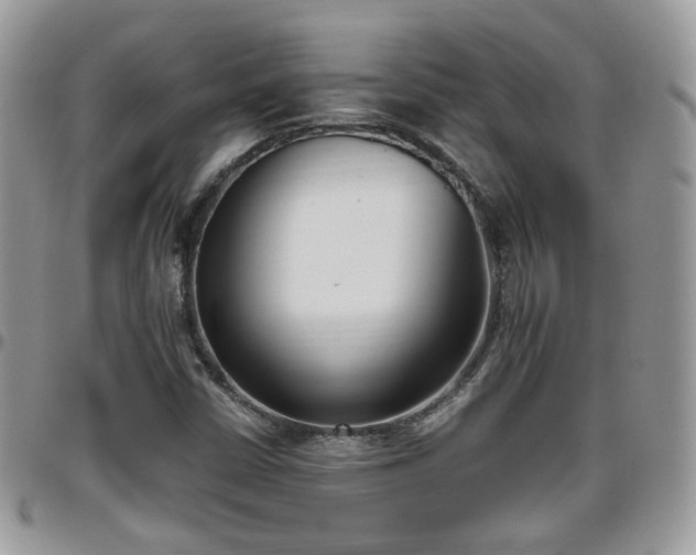 X0000095911402200801181346