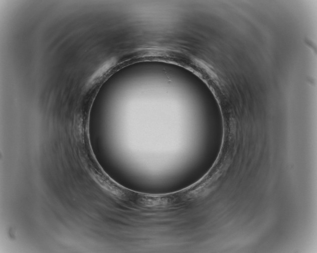 X0000095911403200801181346