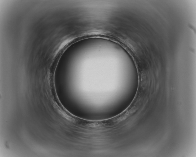 X0000095911404200801181346