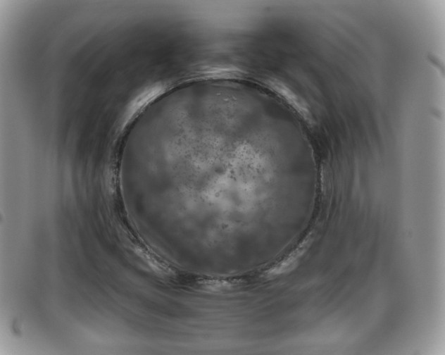 X0000095911405200801181346