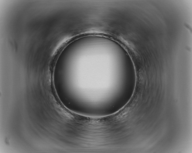 X0000095911408200801181346