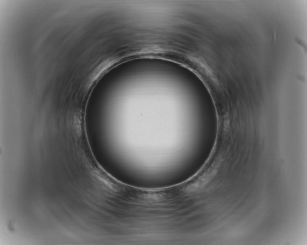 X0000095911409200801181346