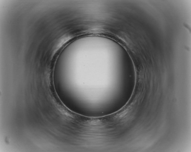 X0000095911410200801181346