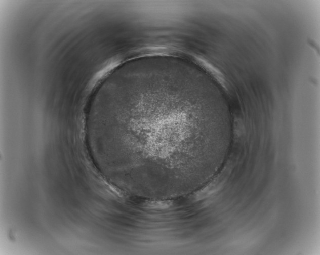 X0000095911411200801181346