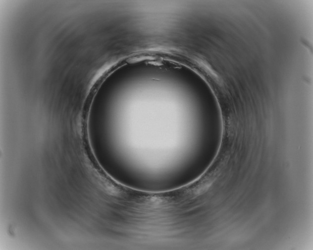 X0000095911412200801181346