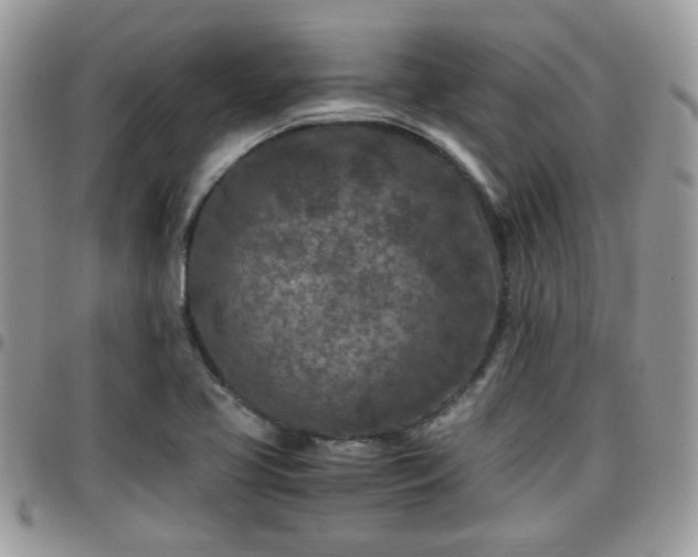 X0000095911413200801181346