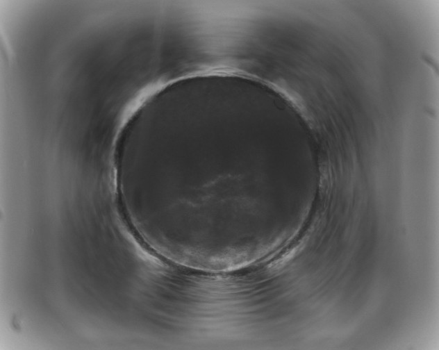 X0000095911414200801181346