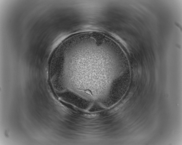 X0000095911415200801181346