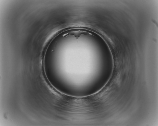 X0000095911416200801181346