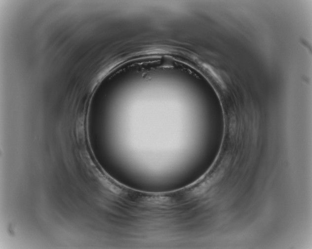 X0000095911417200801181346