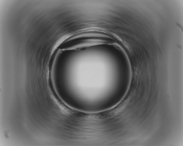 X0000095911418200801181346