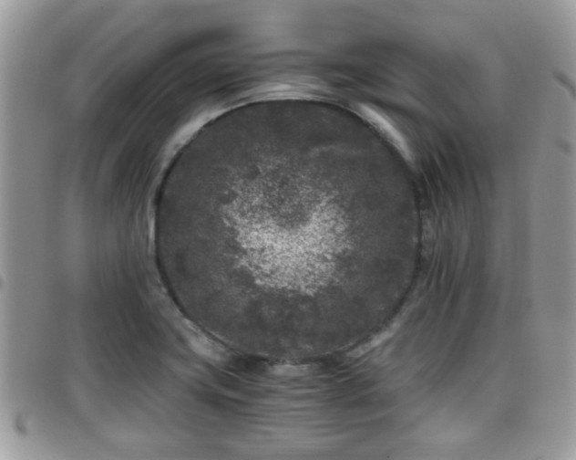 X0000095911419200801181346