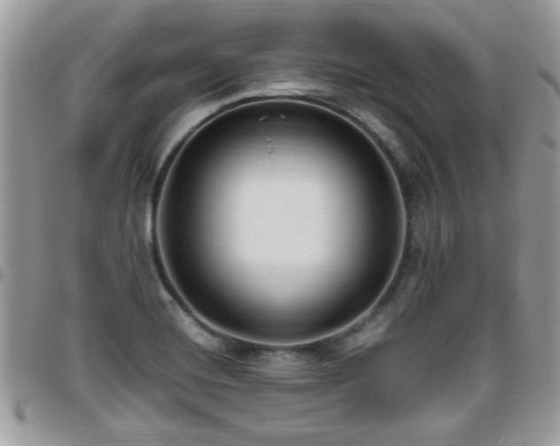 X0000095911420200801181346