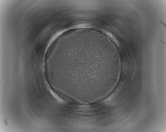 X0000095911421200801181346