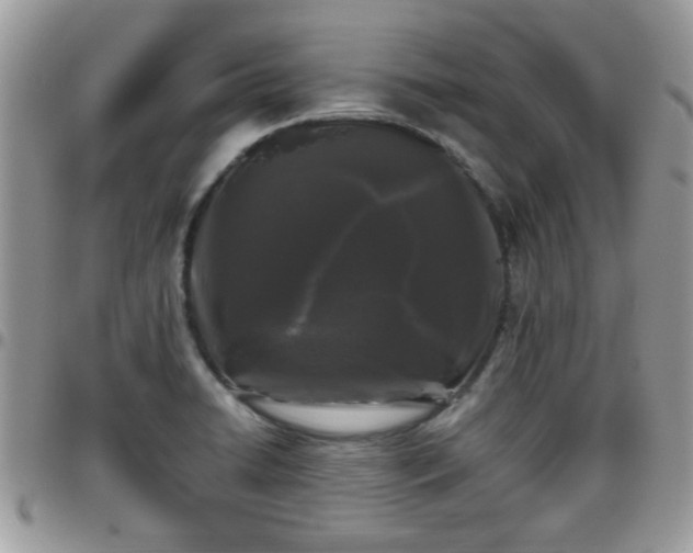 X0000095911422200801181346