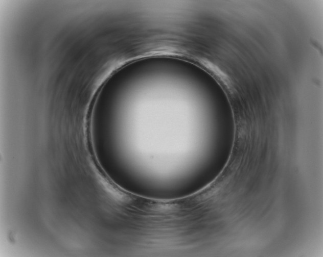 X0000095911423200801181346