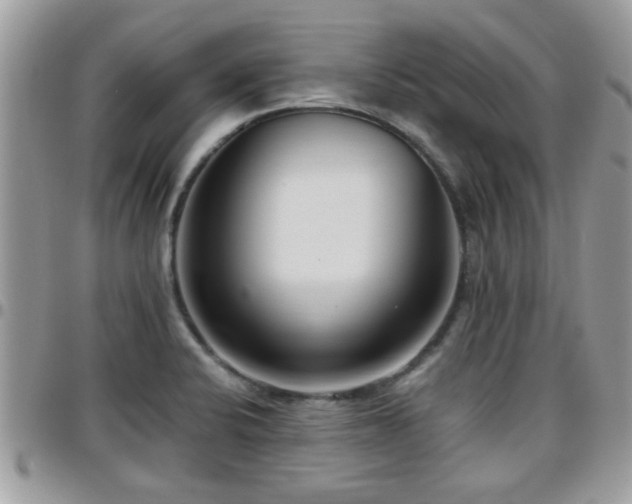 X0000095911424200801181346