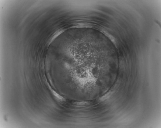 X0000095911425200801181346