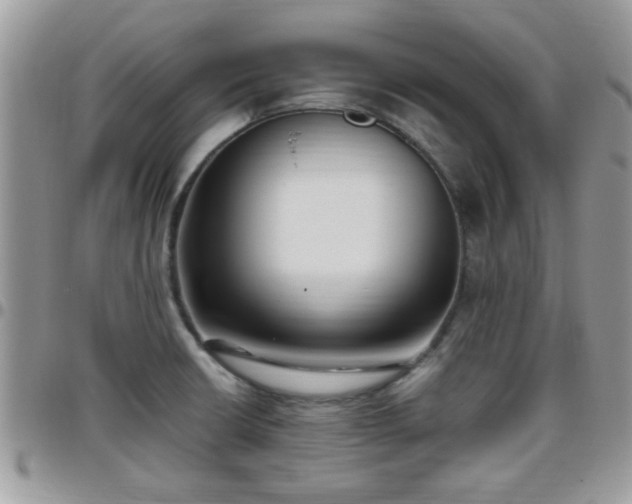 X0000095911426200801181346