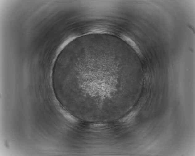 X0000095911427200801181346