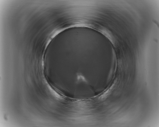 X0000095911428200801181346