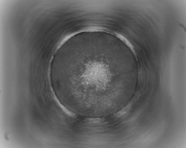 X0000095911429200801181346