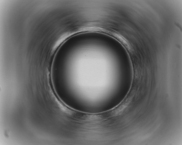 X0000095911430200801181346