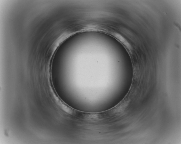 X0000095911431200801181346