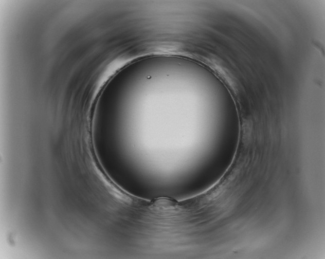 X0000095911432200801181346