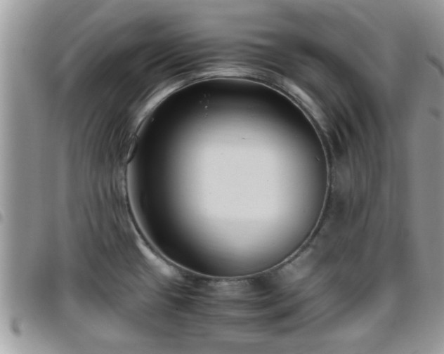 X0000095911433200801181346