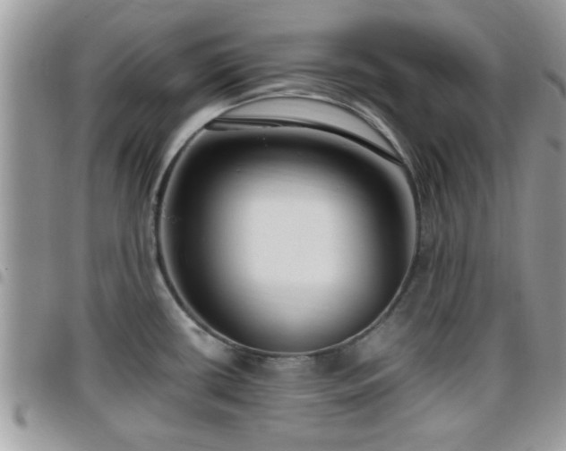 X0000095911434200801181346