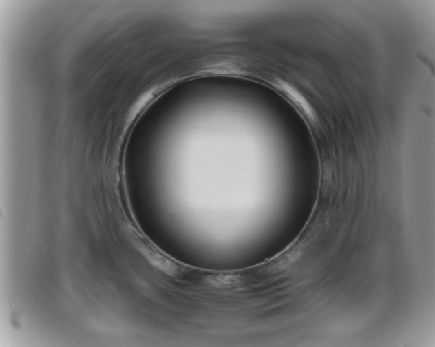 X0000095911435200801181346