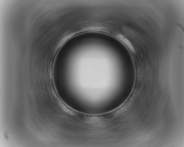 X0000095911436200801181346