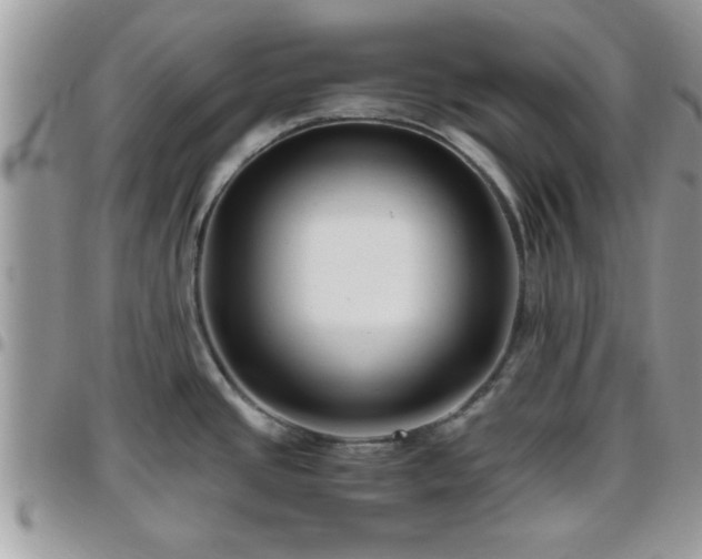 X0000095911437200801181346