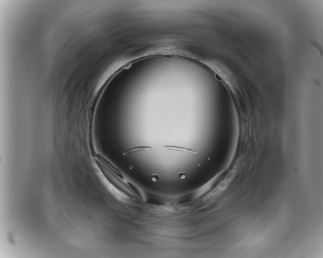 X0000095911438200801181346