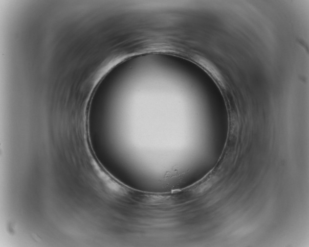 X0000095911439200801181346