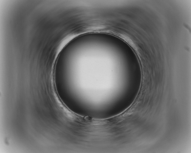 X0000095911440200801181346