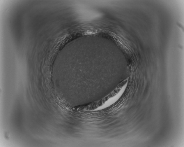 X0000095911441200801181345