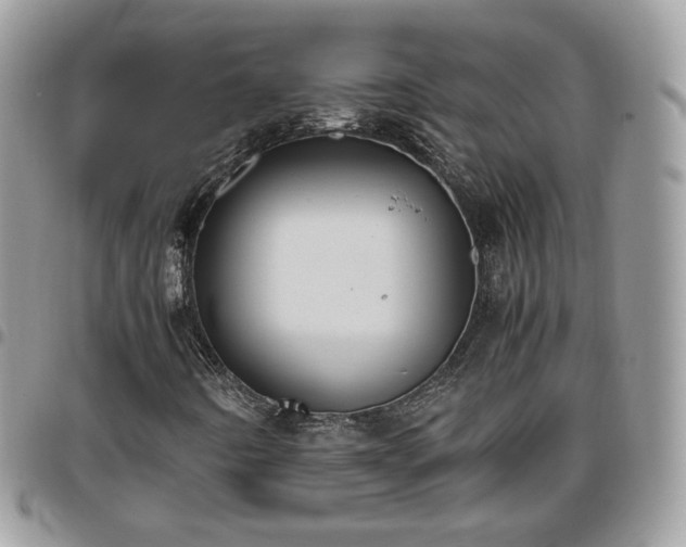 X0000095911442200801181345