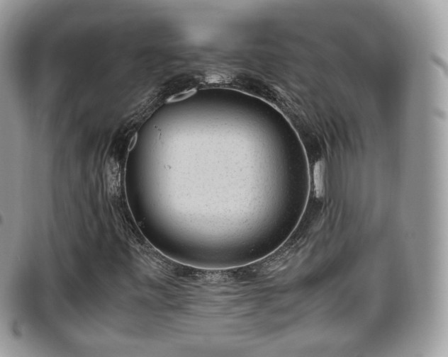 X0000095911443200801181345